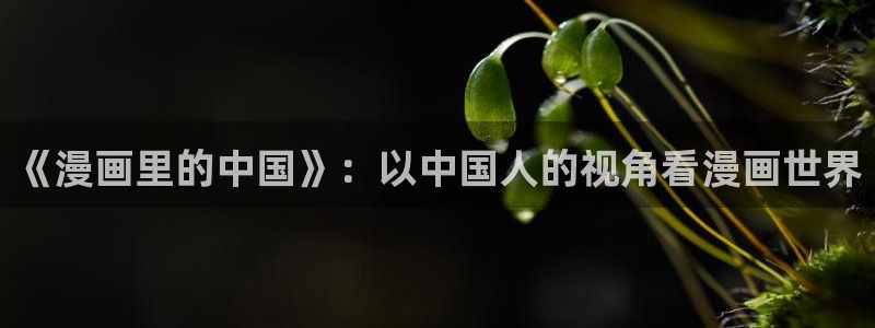 隐世华族漫画奇漫屋：《漫画里的中国》：以中国人的视角看漫画世界
