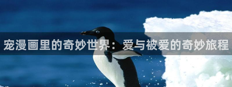 奇漫屋漫画下拉式漫画免费阅读：宠漫画里的奇妙世界：爱与被爱的奇妙旅程