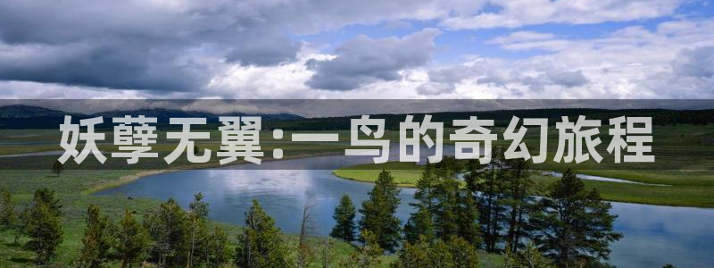 奇漫屋漫画免费观：妖孽无翼:一鸟的奇幻旅程
